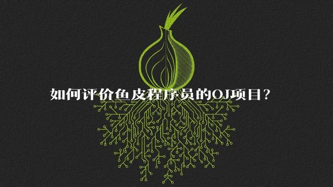 如何评价鱼皮程序员的OJ项目？