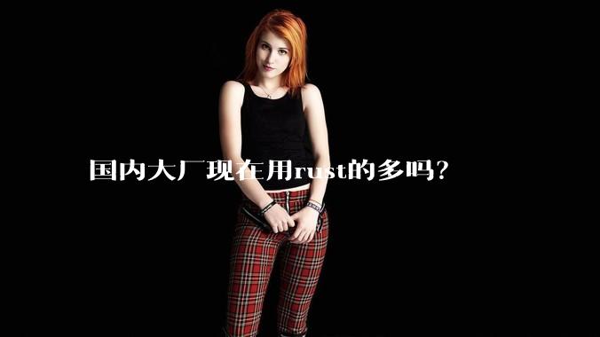 国内大厂现在用rust的多吗？