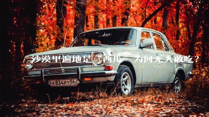 沙漠里遍地是“西瓜”为何无人敢吃？