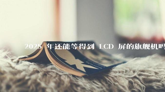 2025 年还能等得到 LCD 屏的旗舰机吗？