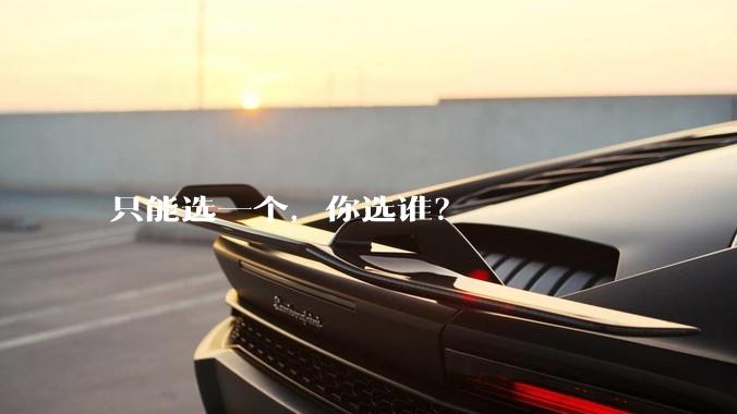 只能选一个，你选谁？