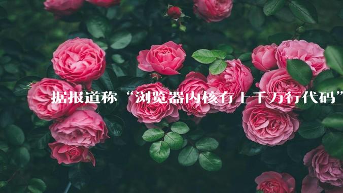 据报道称“浏览器内核有上千万行代码”，浏览器内核真的很复杂吗？