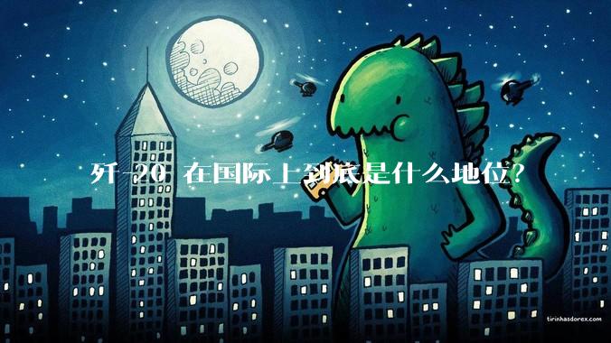 歼-20 在国际上到底是什么地位？