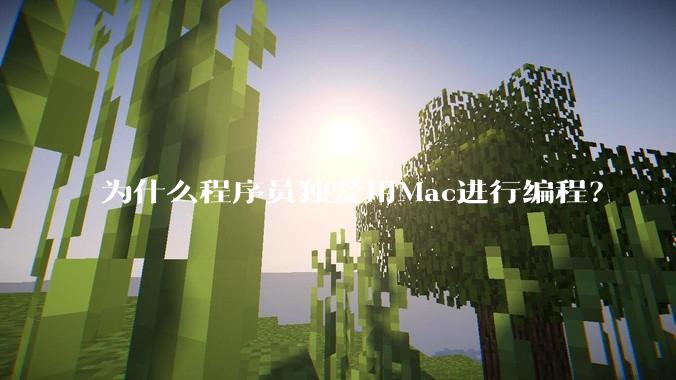 为什么程序员独爱用Mac进行编程？