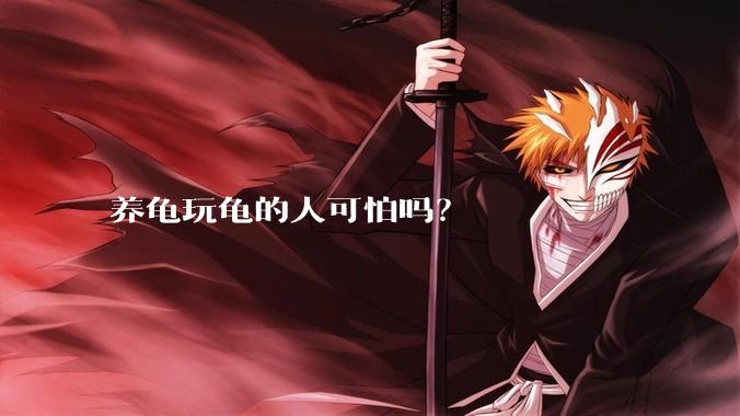 养龟玩龟的人可怕吗？