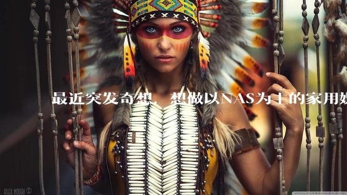 最近突发奇想，想做以NAS为主的家用媒体中心。下面是我做的一个草图，各位大神看看可行吗？